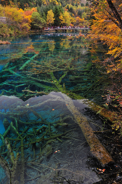 Five Flower Lake In Jiuzhaigou Valley Sichuan Its A Beautiful World