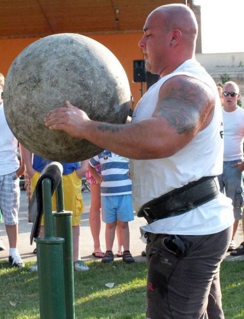 superbears:  WANT TO EAT HIM   Strongman Bull 