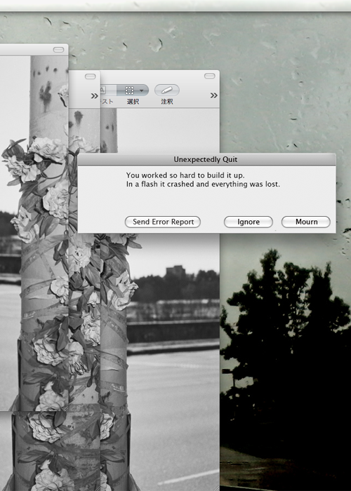 Tumblr media