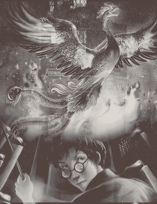 We are The Wild Ones
