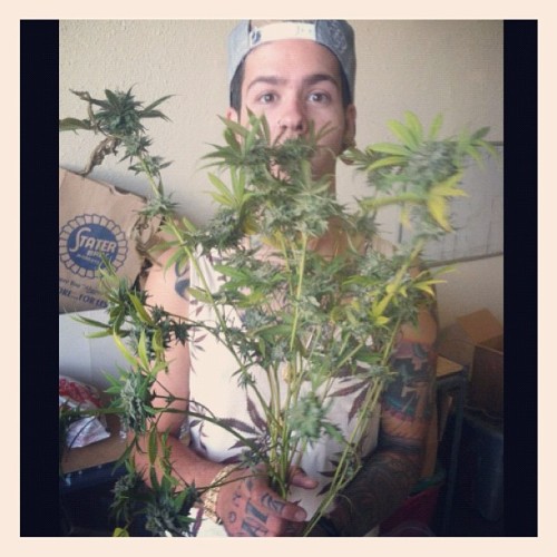 ilovetmills:  I have a bouquet for you  (Taken with Instagram)