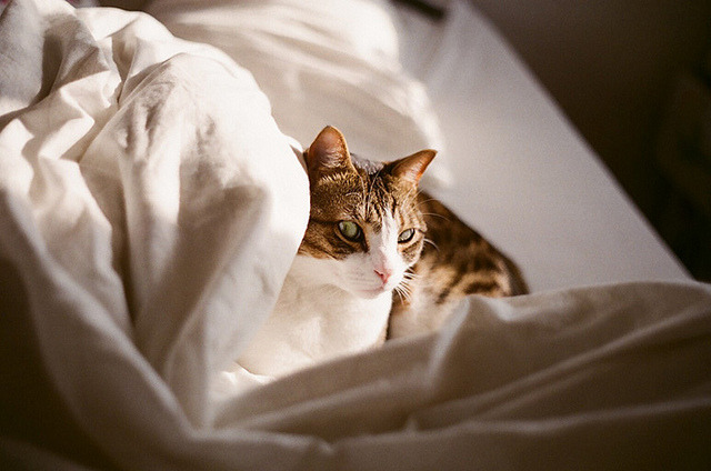  untitled by inmost_light on Flickr. 
