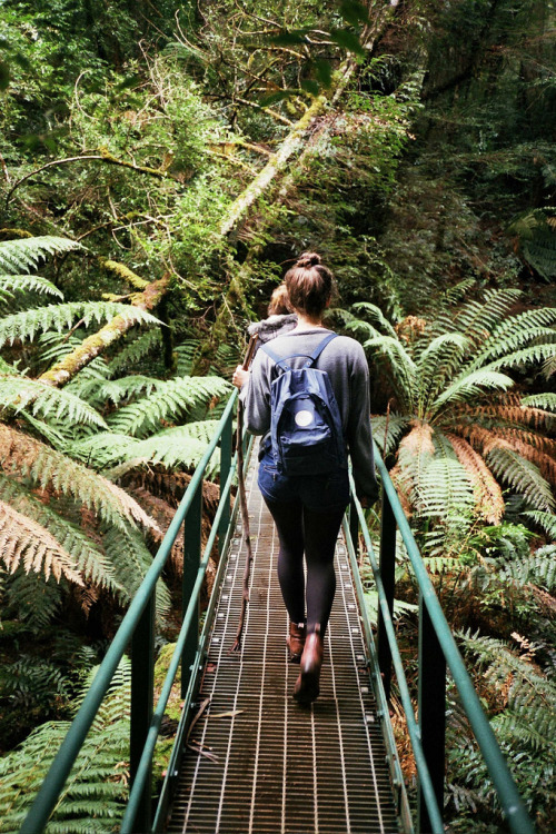 zebres:  trekking (by max ray fin)      shit i want a hot brunette travel bud
