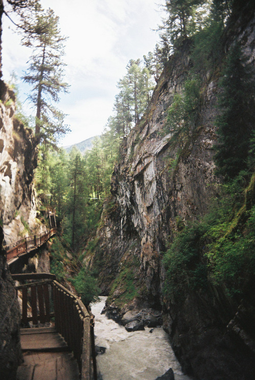 woodlandsouls:zermatt (by caitlin frunks)