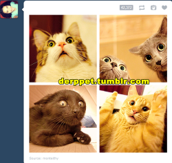 im-toospicy:  (Derpet)