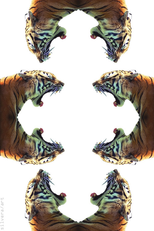 CVRMELLV