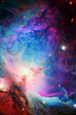 weareallstarstuff:  Orion Nebula 