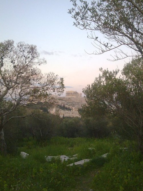 celzmccelz: The Acropolis, as seen from the Pnyx. 