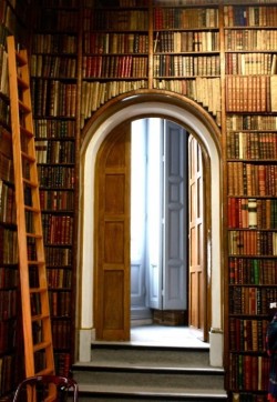 bluepueblo:  Ancient Book Library, Madrid,