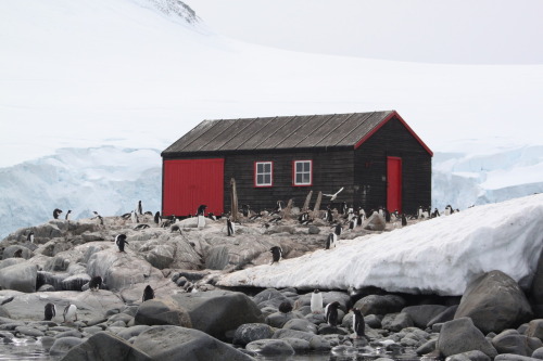 cabinporn: Research cabin, Antarctica Submitted by Joshua Shapiro