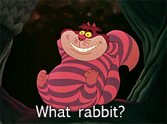 Just Funny Pictures
