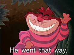 Just Funny Pictures