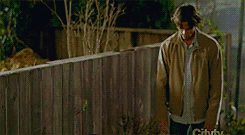 ohmylaniaison:  #i will never ever get over sam’s face in this scene as long as i live #or the way he says ‘i lost my shoe.’ 