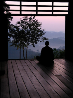buddhabe:  Meditation in Thailand  