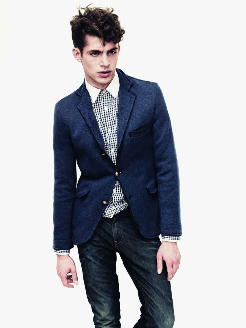 Mr.Burberry Fox