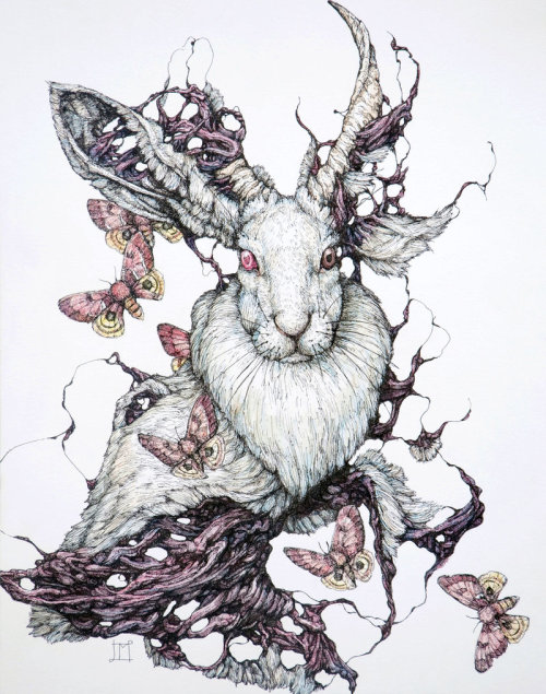 ex0skeletal:by Lauren Marx. Her tumblr is here.