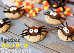 gastrogirl:  spider peanut butter blossoms.