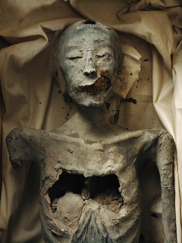 desireexelyda:  The remains of Tutankamun’s Parents, Akhenaten and the mummy only identified as “The Younger Lady”, and his grandparents, Queen Tiye and Amenhotep III. It was recently proved this “Younger Lady” mummy is in fact Tutankamun’s