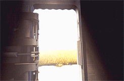 ariyous-dusk:  hylianrudolf:  ayyeeeenicole:  Chell died at the end of Portal 2. The turrets shot her and she died instantly without noticing the turrets shooting her, since it happened so fast.According to Greek Mythology. Heaven is a cornfield. As you