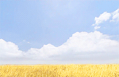 ariyous-dusk:  hylianrudolf:  ayyeeeenicole:  Chell died at the end of Portal 2. The turrets shot her and she died instantly without noticing the turrets shooting her, since it happened so fast.According to Greek Mythology. Heaven is a cornfield. As you