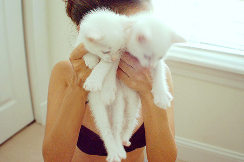 elegant-rage:  untitled by Solipsism; on Flickr. 
