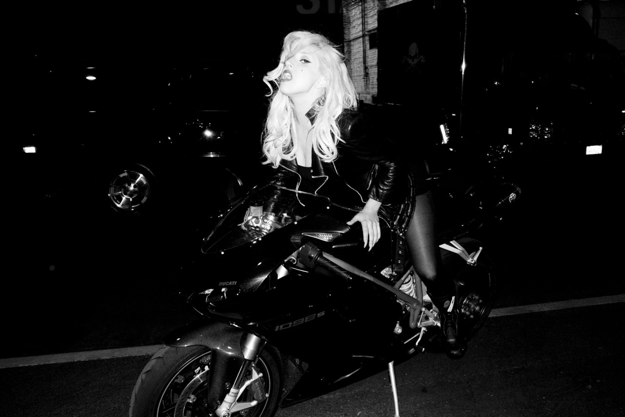 -little monster-