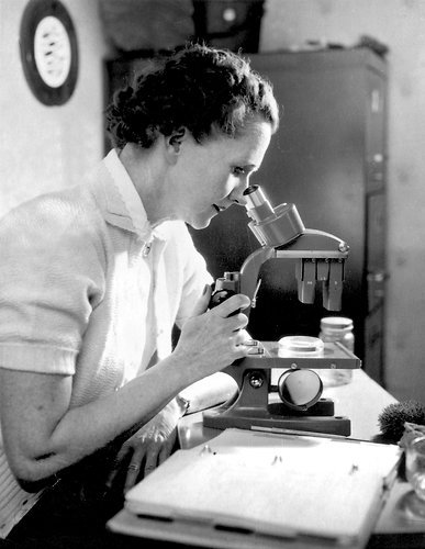 wtfhistory:  sciencechicks:  dendroica:  dendroica: Rachel Carson Though she did not set out to do so, Carson influenced the environmental movement as no one had since the 19th century’s most celebrated hermit, Henry David Thoreau, wrote about Walden