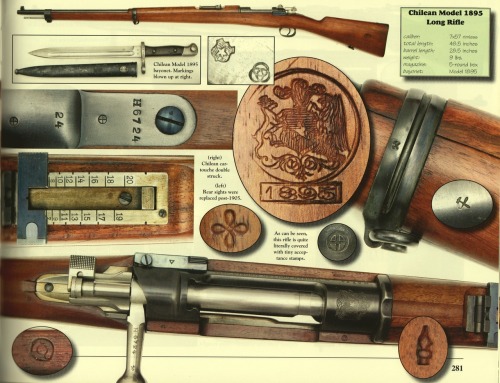 georgy-konstantinovich-zhukov: Chilean Model 1895. Like most South American rifles of the era, a Mau