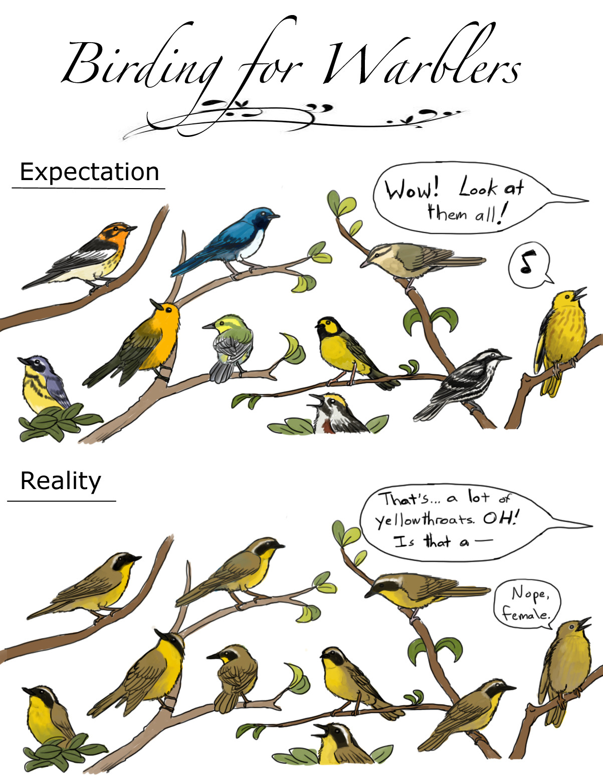ewilloughby:
“You’d almost think they were common or something.
Oh lord help me, I’m drawing birding cartoons now.
”
I don’t always reblog posts on Lonely Birder, but when I do, I prefer Dendroica. HA.
No, seriously, this is me. To a tee.