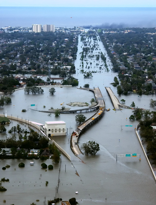 ronpaulfuneralcity:Hundreds of cities are extinguished by unexplained cataracts appearing at mid lev