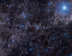 andrewestes0:   Stars in a Dusty Sky Image Credit &amp; Copyright:John Davis Explanation: Bright star Markab anchors this dusty skyscape. At the top right corner of the frame, Markab itself marks a corner of an asterism known as the Great Square,