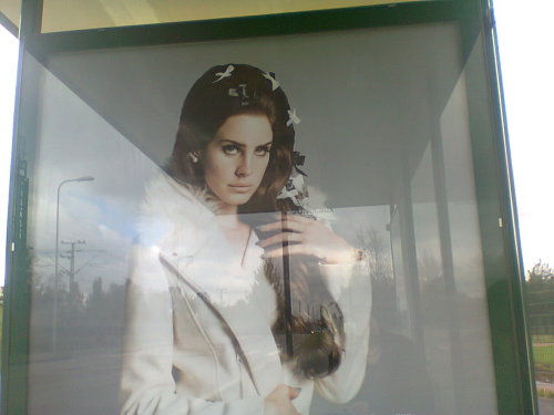 fairei:  My queen 