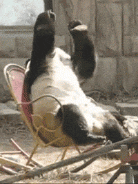 WHEN I LEAVE THE HOUSE WITHOUT MY COFFEE