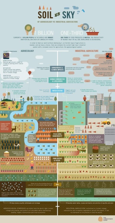 localfoodlab: Emerging Local &amp; Regional Food - Visualised / Agroecology Vs Industrial agricu