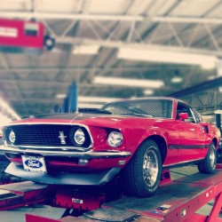 dropdeadshawn:  Where can I get one? #mustang