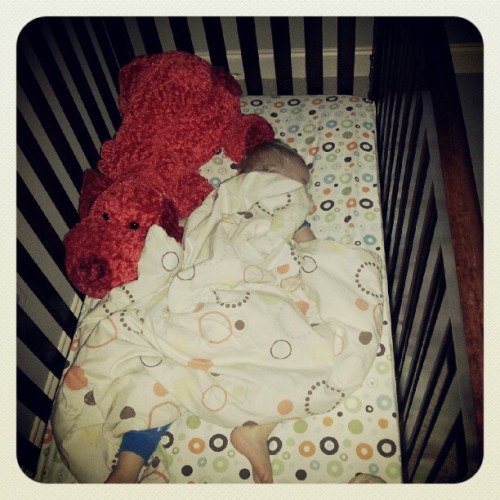 #fmsphotoaday #photoadaySept Naptime Is #agoodthing A Very Good Thing :-) (Taken With Instagram)