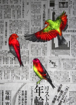 fuckyeahpsychedelics:  “A Little Birdie Told Me…” by Louise McNaught 