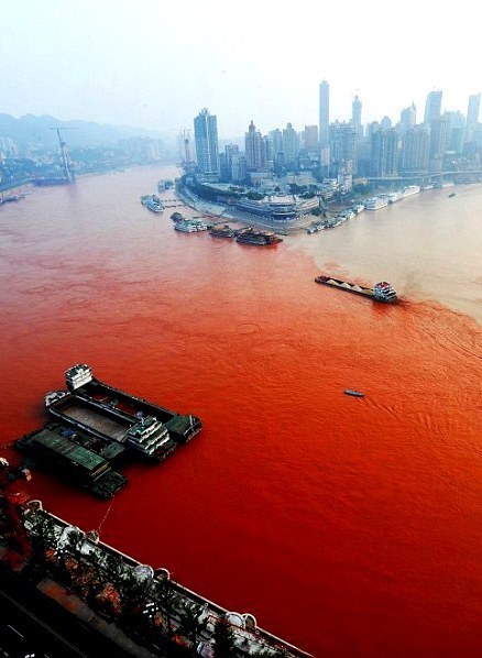 thevuas:Meeting point: A ship sails across the junction of the polluted Yangtze River (left) and the