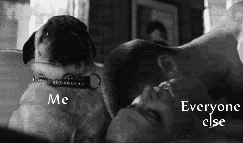 🌙