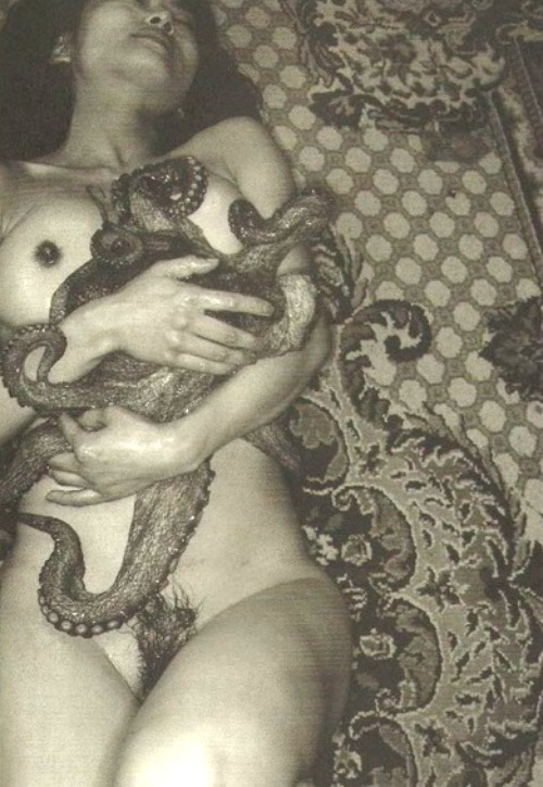 Pussy octopus in Asian sluts