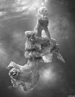 Eternityonwings:  Zena Holloway - Underwater Photography