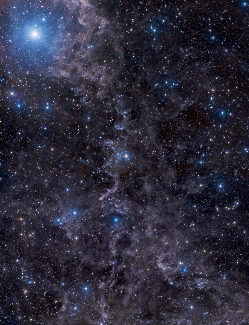 fuckyeahnebulas:Witch Head Nebula 