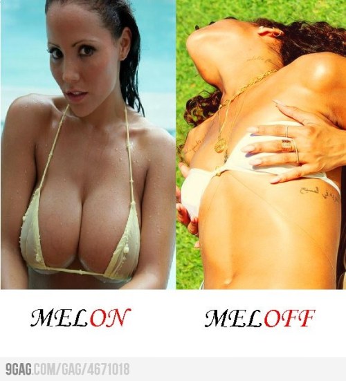 Melon and Meloff