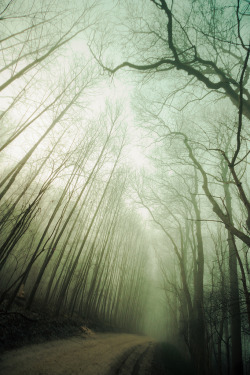 landyscape:  Im Nebel gefangen (by Paxx Photographie)