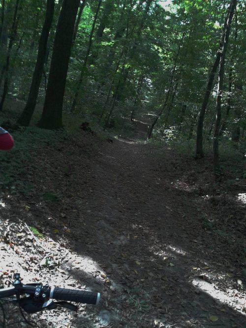 himbeerzuckerwattenperlen: Bike Ride the Second!! Despite pain, I made a bike ride and it was damn g