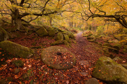 dailyautumn:  Looking Back to Autumn by Paul Newcombe on Flickr. 