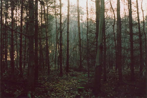 fall-inspired:  wtfcorey:  * by Harry Bloom on Flickr.       