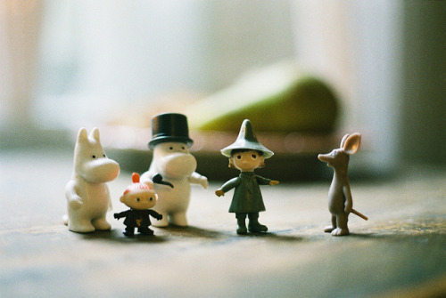 marisais:  2011_10_23 by Maja K K on Flickr. 