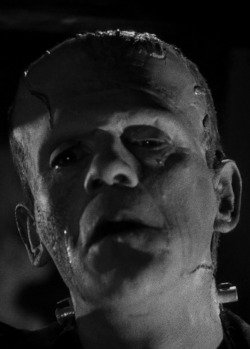 monsterman:    Bride of Frankenstein (1935)