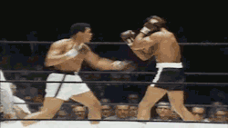 bestofboxing:  Ali knocks Cleveland Williams down    